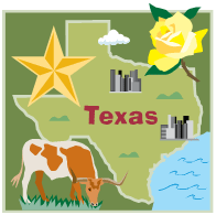 TX state image